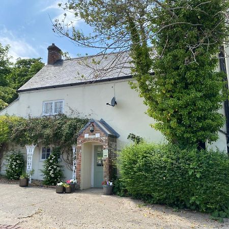 Heathcote House Bed and Breakfast Milborne Saint Andrew Buitenkant foto